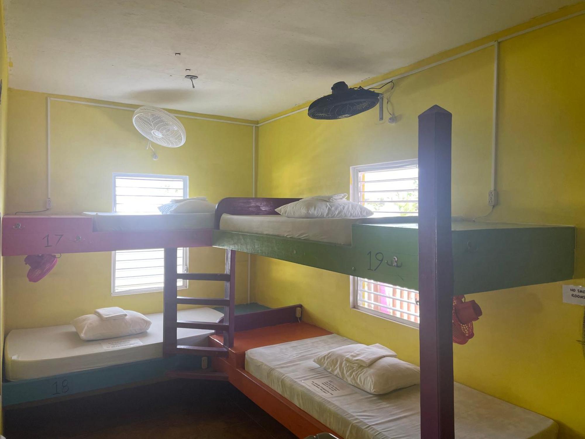 Hostel Travellers Palm Backpackers Caye Caulker Exteriér fotografie