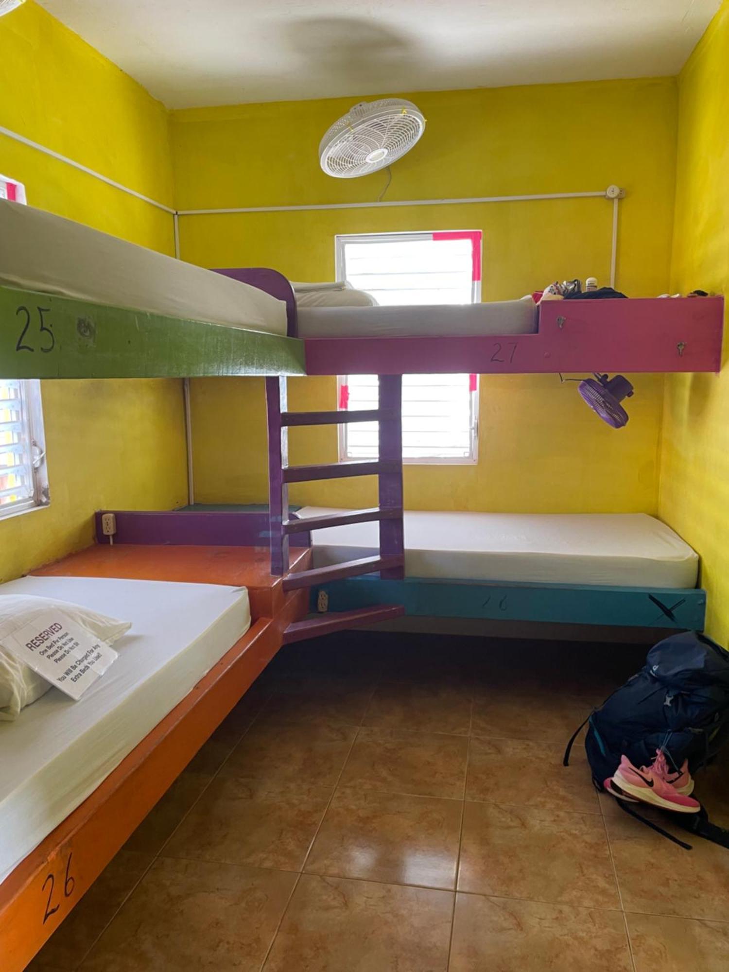 Hostel Travellers Palm Backpackers Caye Caulker Exteriér fotografie