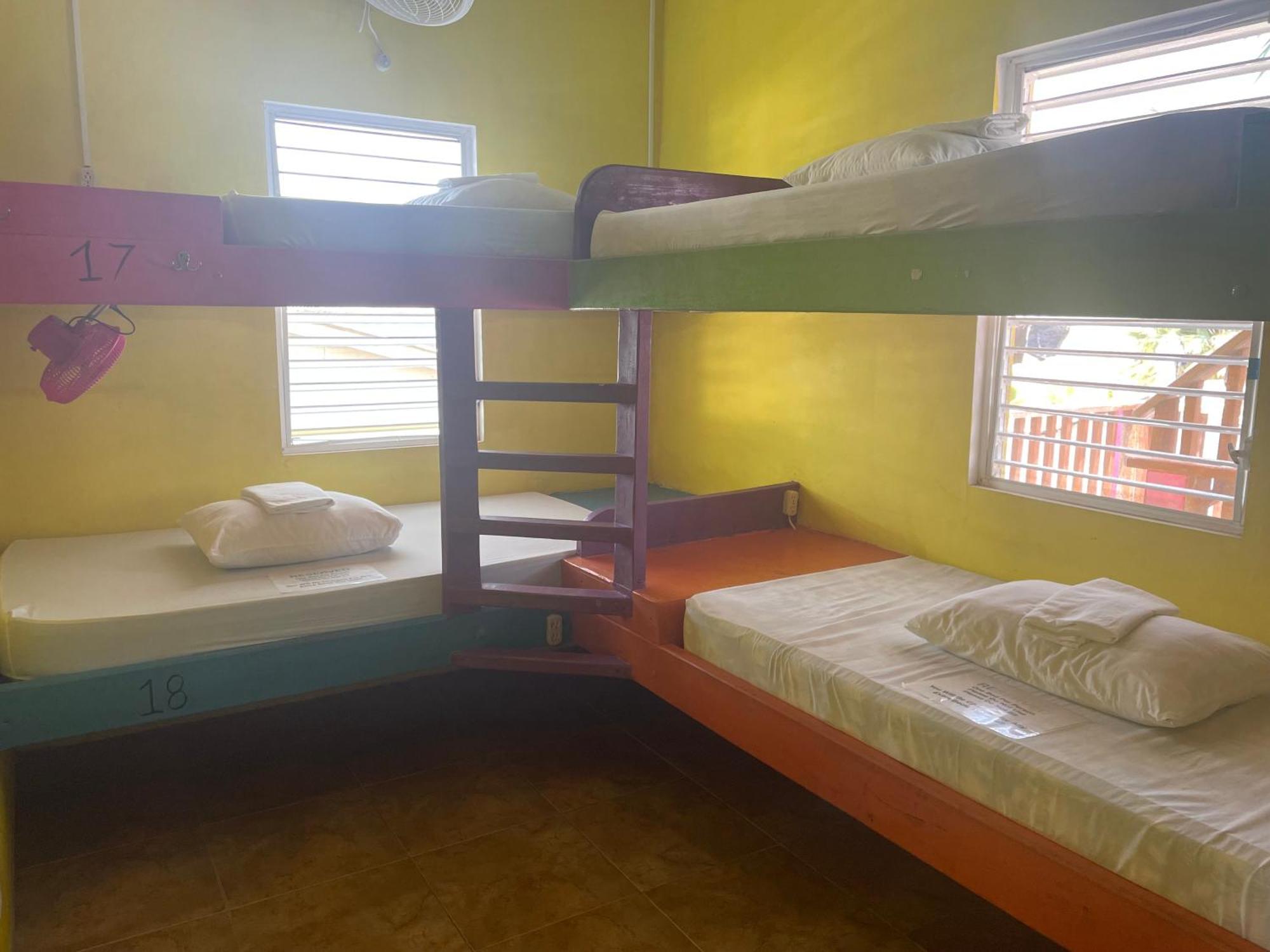 Hostel Travellers Palm Backpackers Caye Caulker Exteriér fotografie