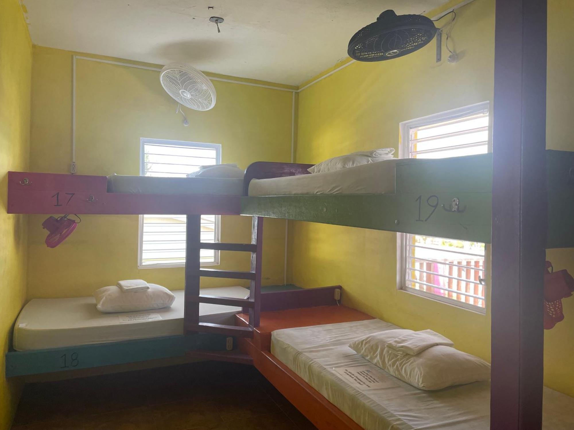 Hostel Travellers Palm Backpackers Caye Caulker Exteriér fotografie