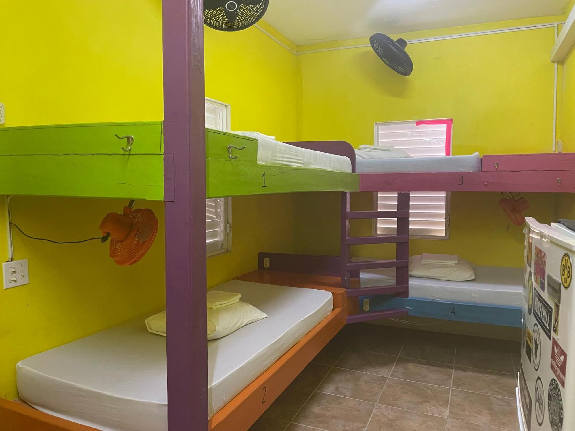 Hostel Travellers Palm Backpackers Caye Caulker Exteriér fotografie